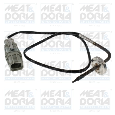 Sensor, exhaust gas temperature